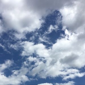 Meet your Posher, Harper